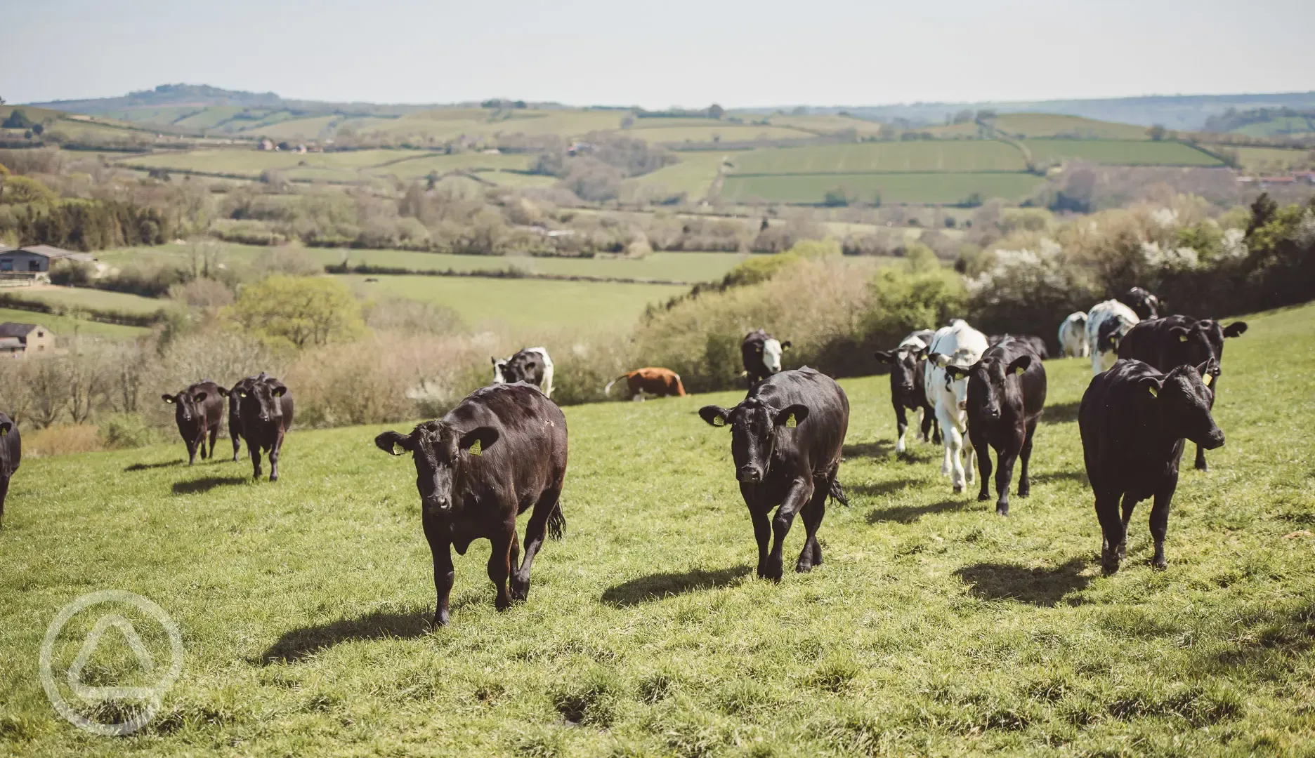 Situated on a working family farm