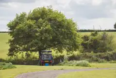 Large electric grass pitch - Oak Tree Large electric grass pitch - Oak Tree