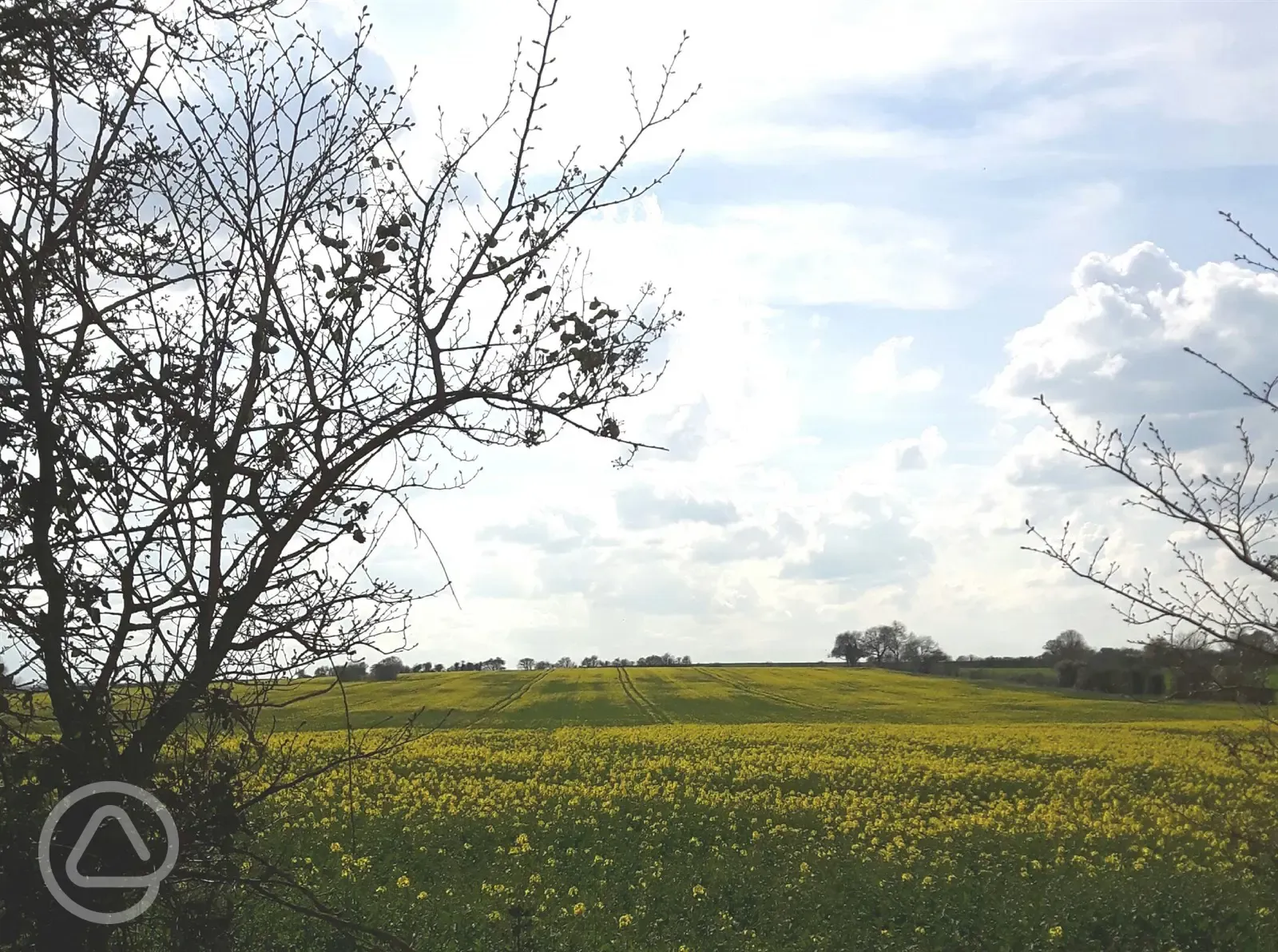 Syerscote Lane view across fields