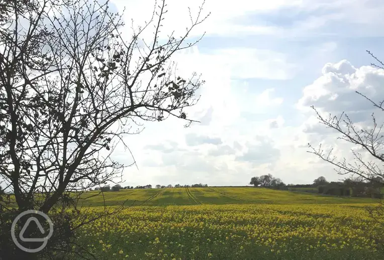 Syerscote Lane view across fields