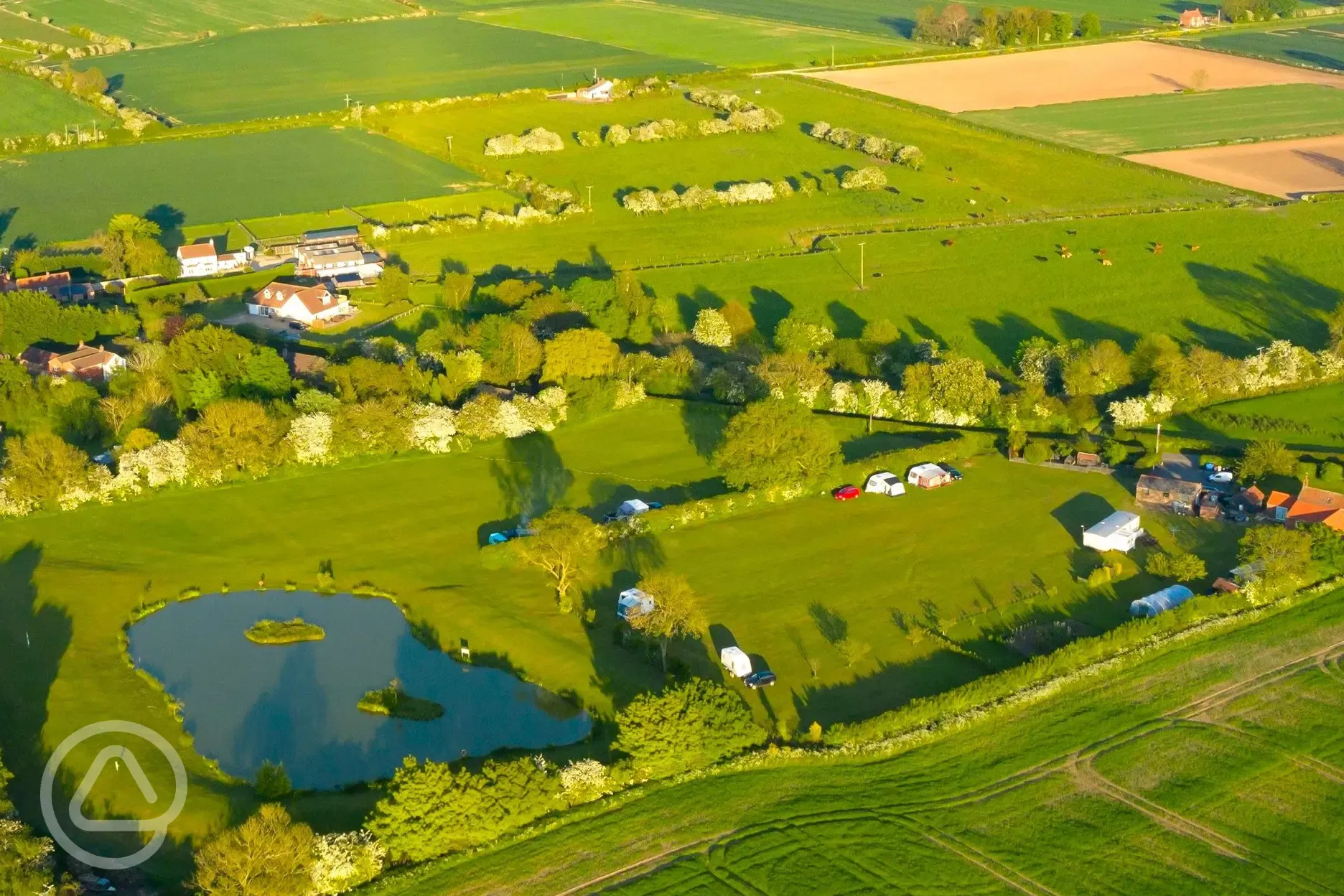 Aerial view of the site