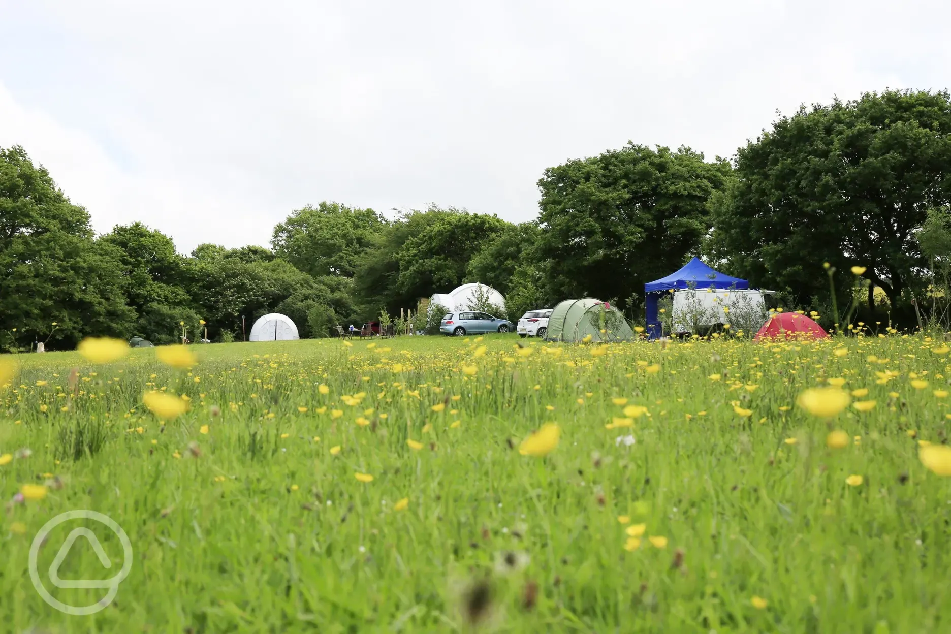 Non electric grass pitches 