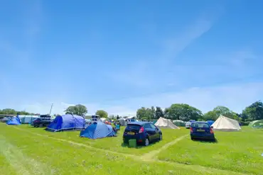 Non electric grass pitches at Harry's Field with mown edges