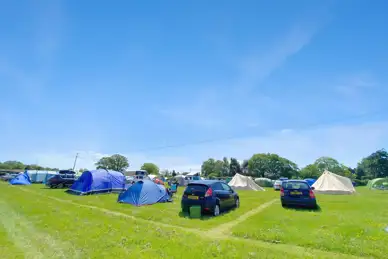 Harry's Field Harry's Field