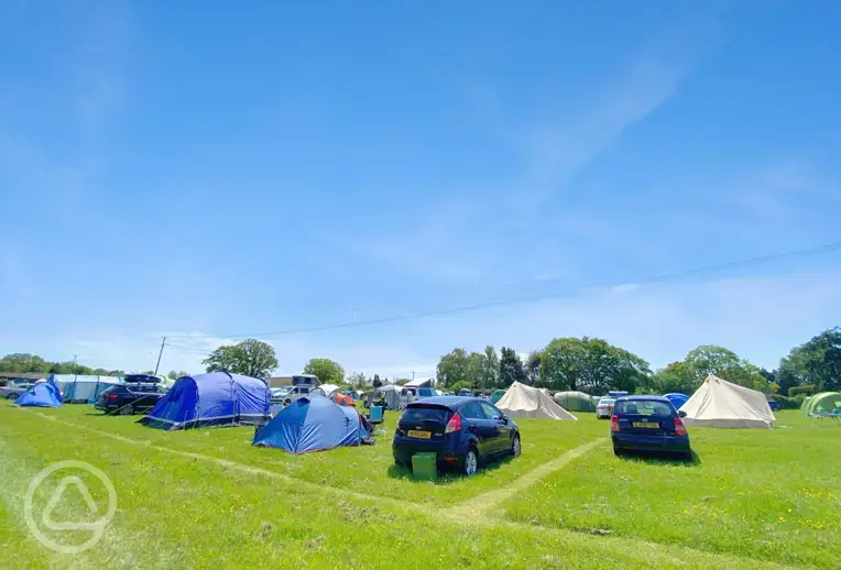 Non electric grass pitches at Harry's Field with mown edges