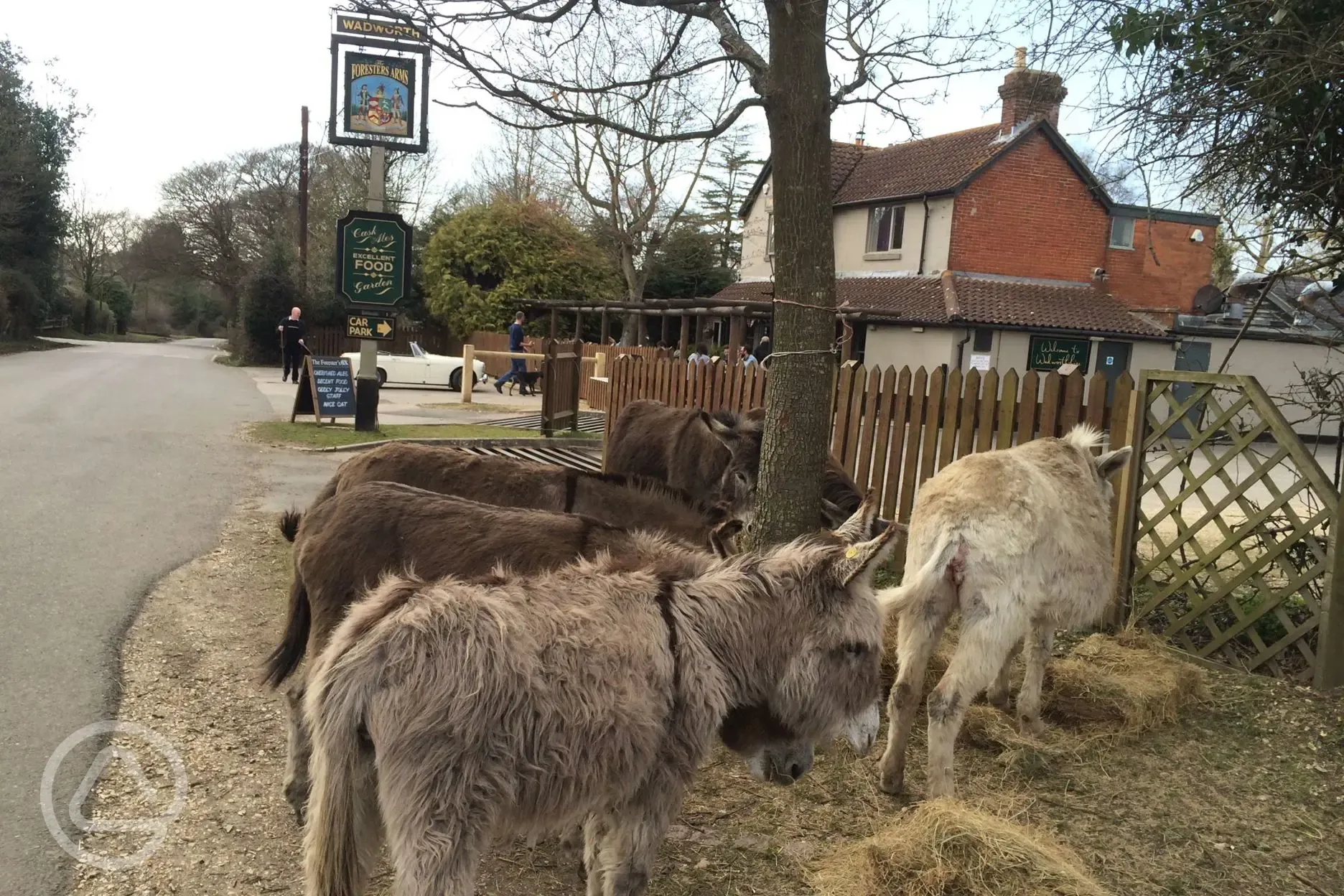 Next to the The Foresters Arms for local food and drink