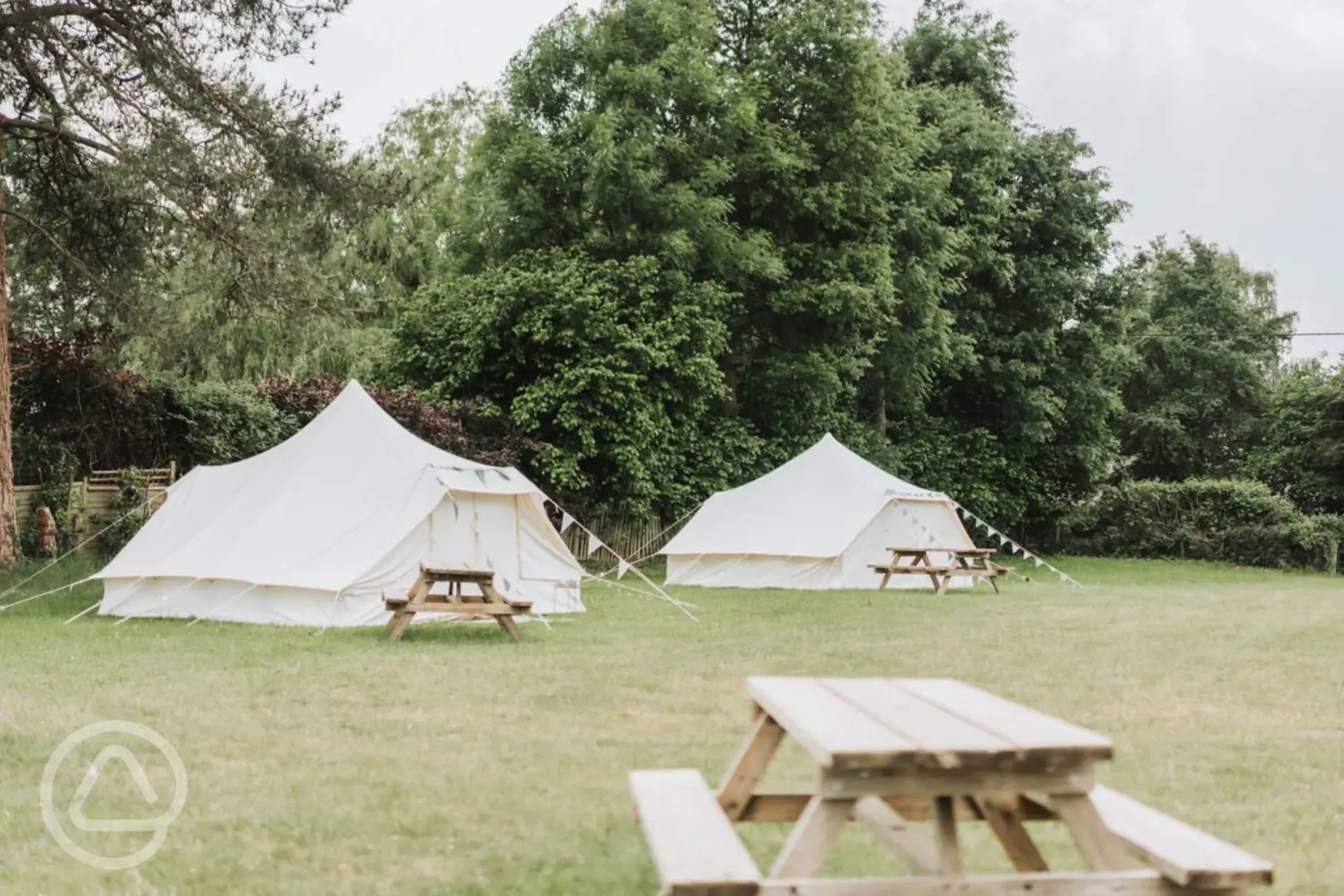 Bell tents with picnic benches