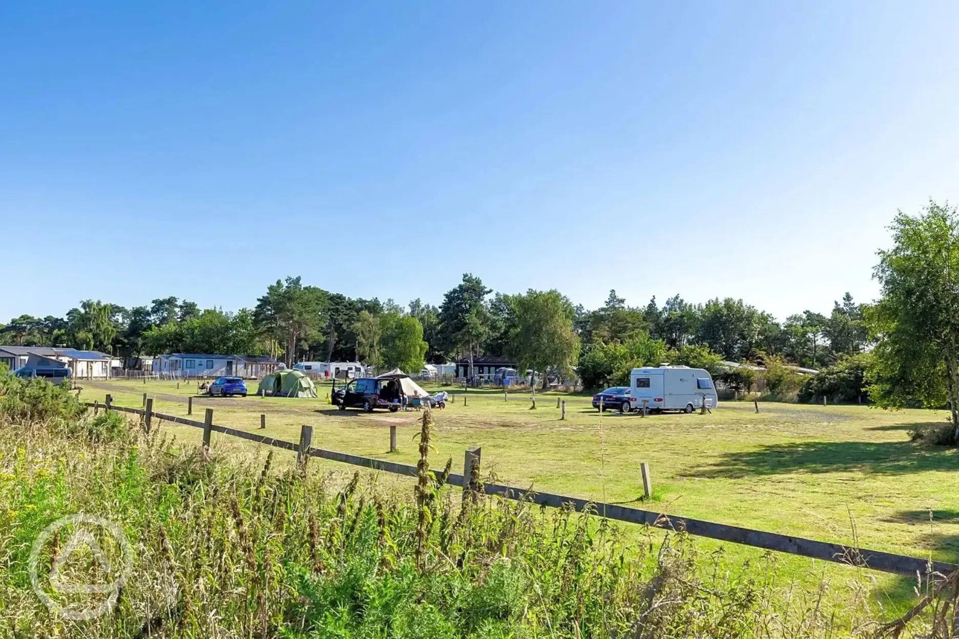 Grass pitches at Pinecones Caravan and Camping