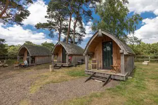 Pinecones Caravan and Camping, Sandringham, Dersingham, Norfolk (10.3 miles)