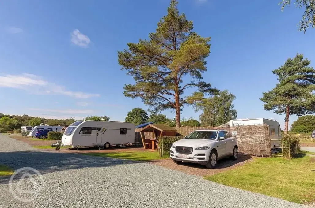 Fully serviced hardstanding pitches (pine views) with picnic hut at Pinecones