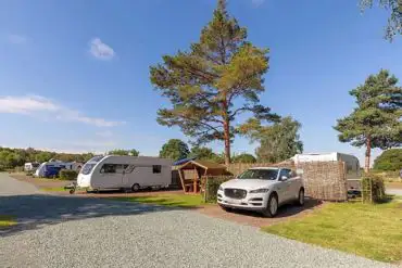 Fully serviced hardstanding pitches (pine views) with picnic hut at Pinecones