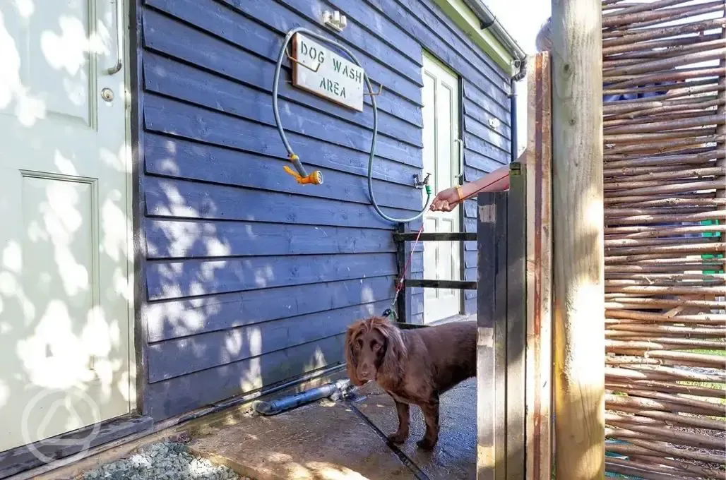 Dog wash area