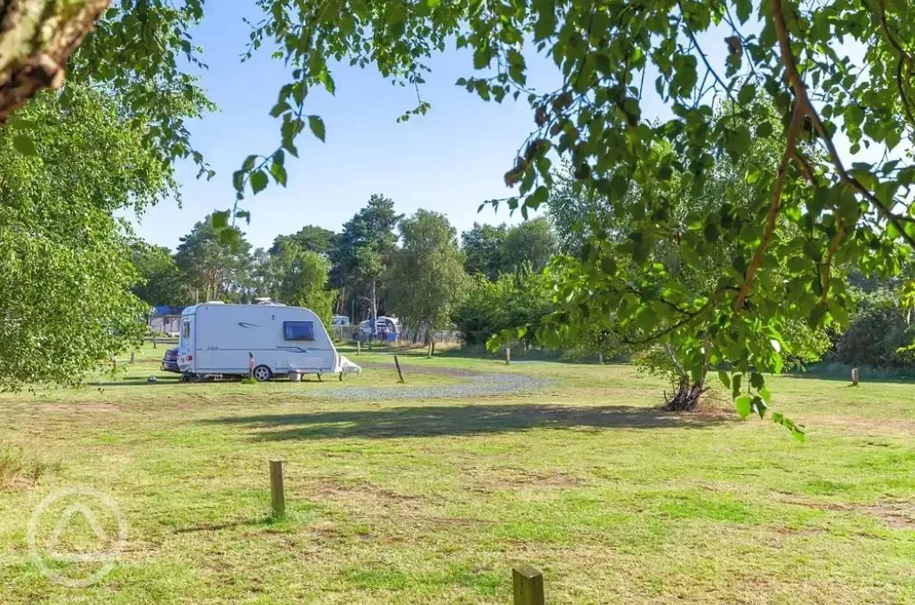 Grass fully serviced pitches (pine views)