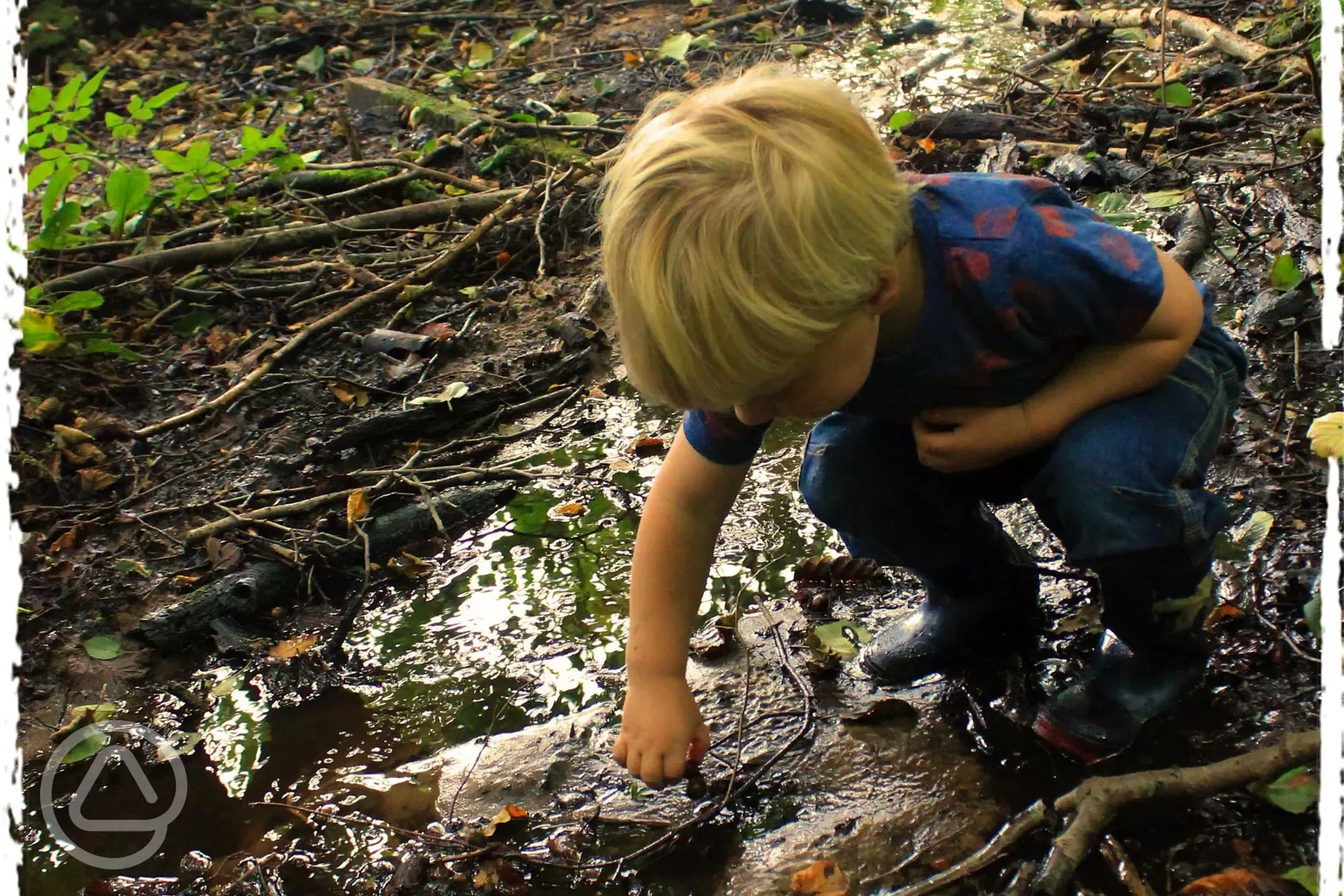 wandering in the stream