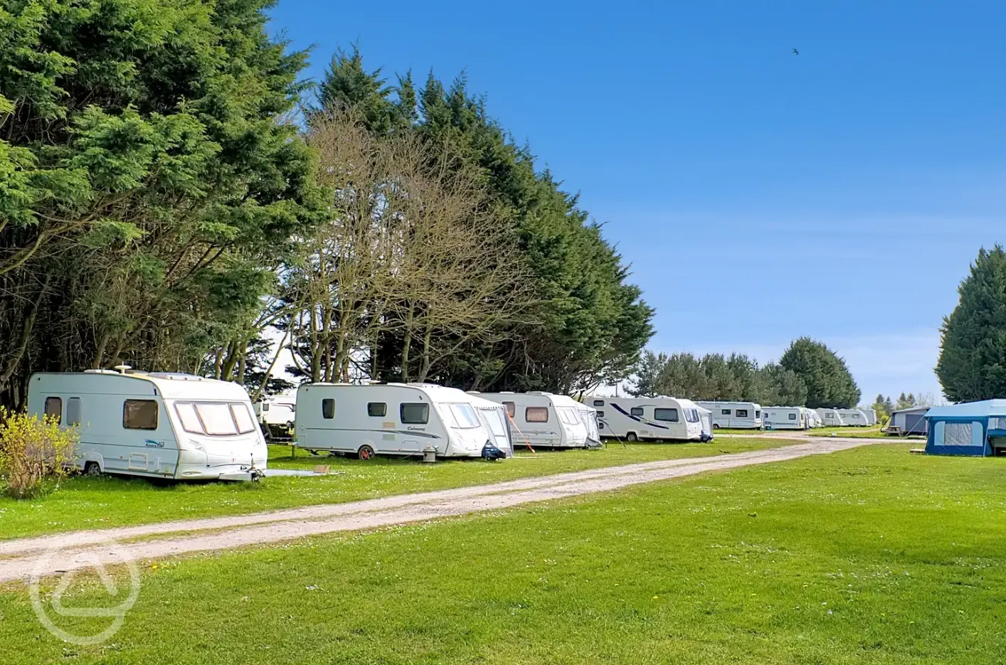 Grass pitches