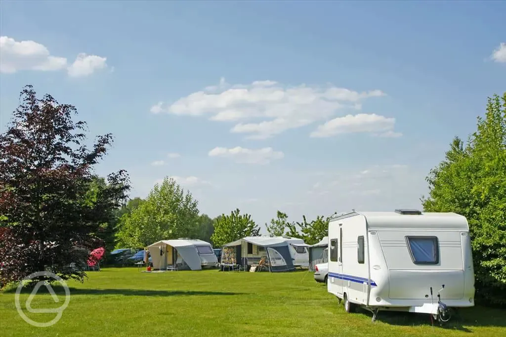 Grass pitches