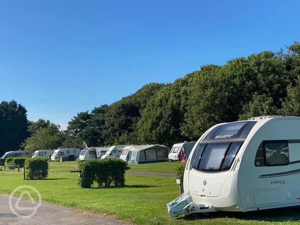 Grass pitches