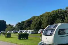 Grass pitches Grass pitches