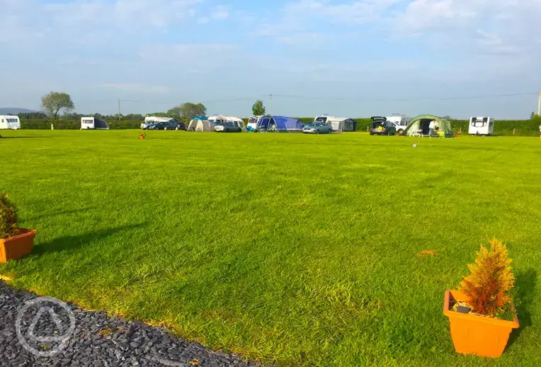 Grass pitches