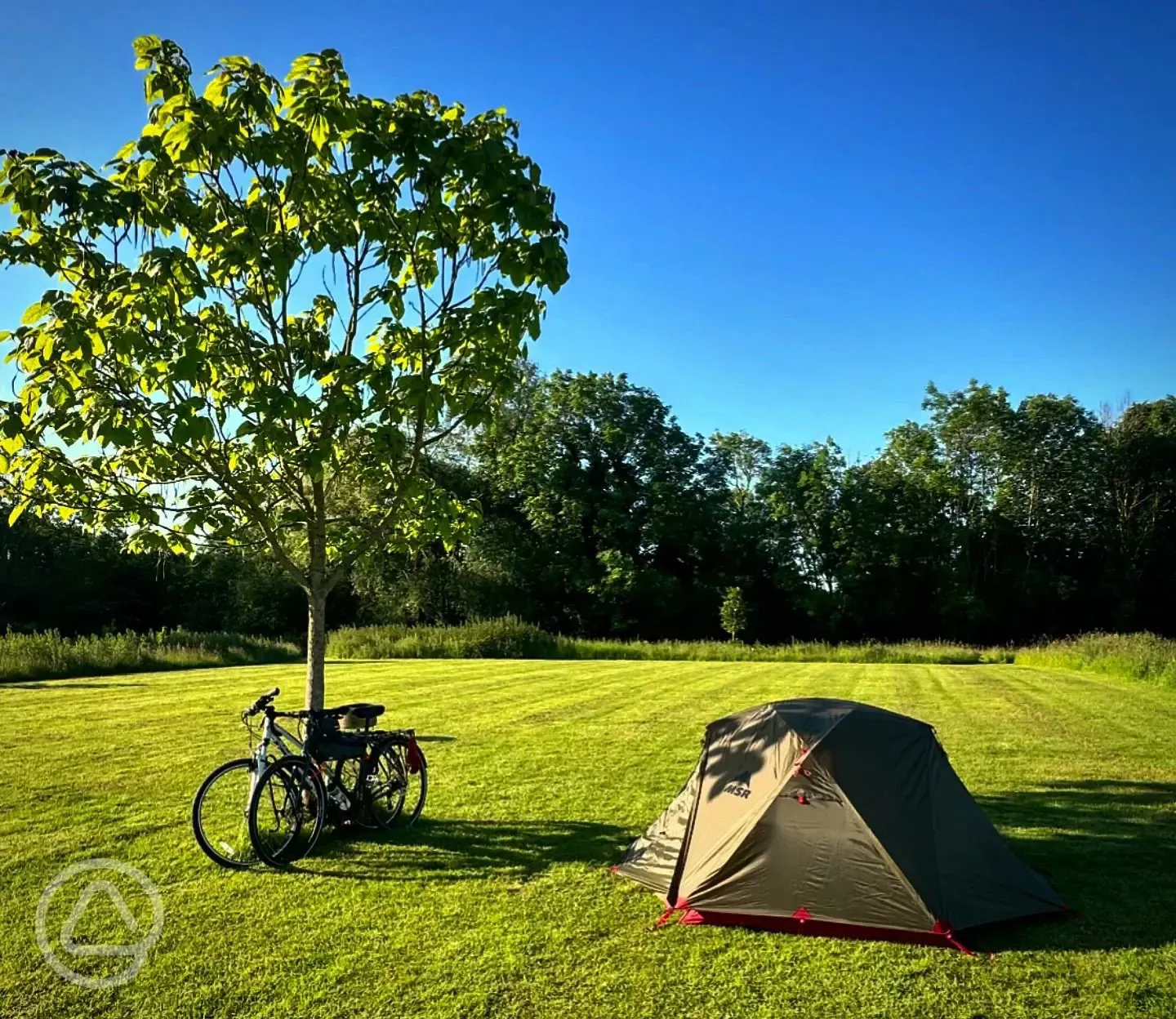 Grass tent pitches