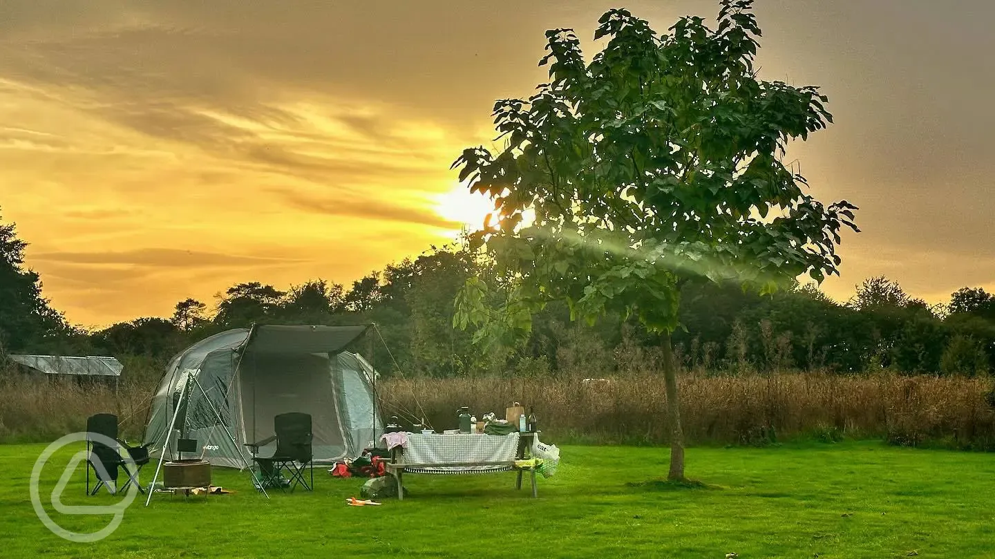 Grass tent pitches