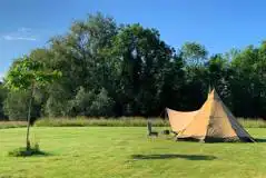 Tent camping in sunshine