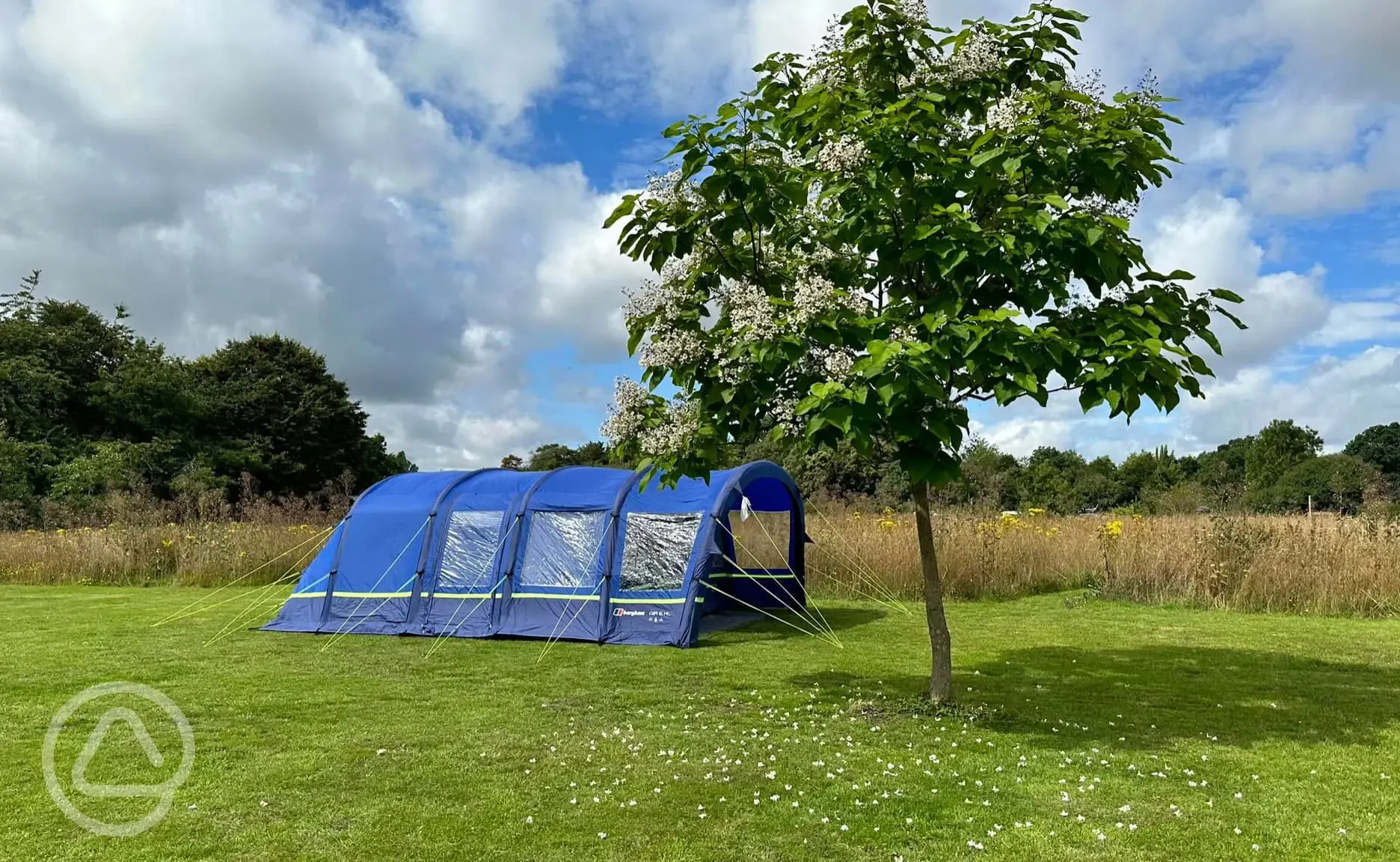 Grass tent pitches