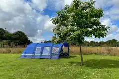 Grass tent pitches