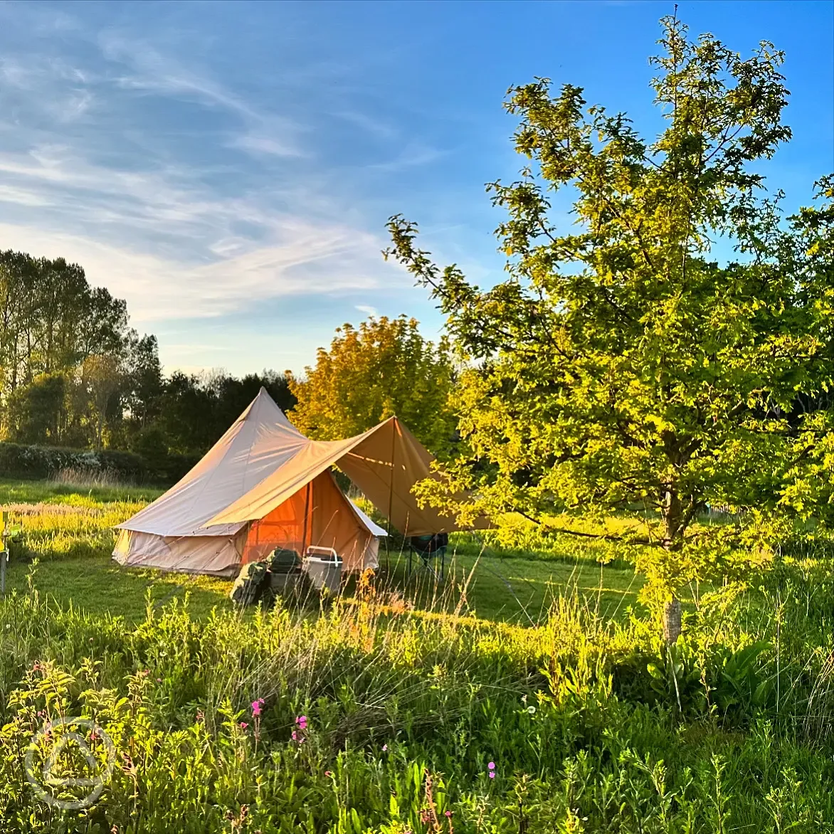 Touareg bell tent