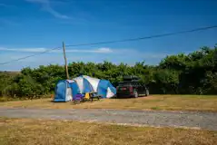 Electric grass pitches