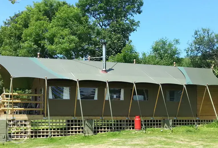 Safari tent 