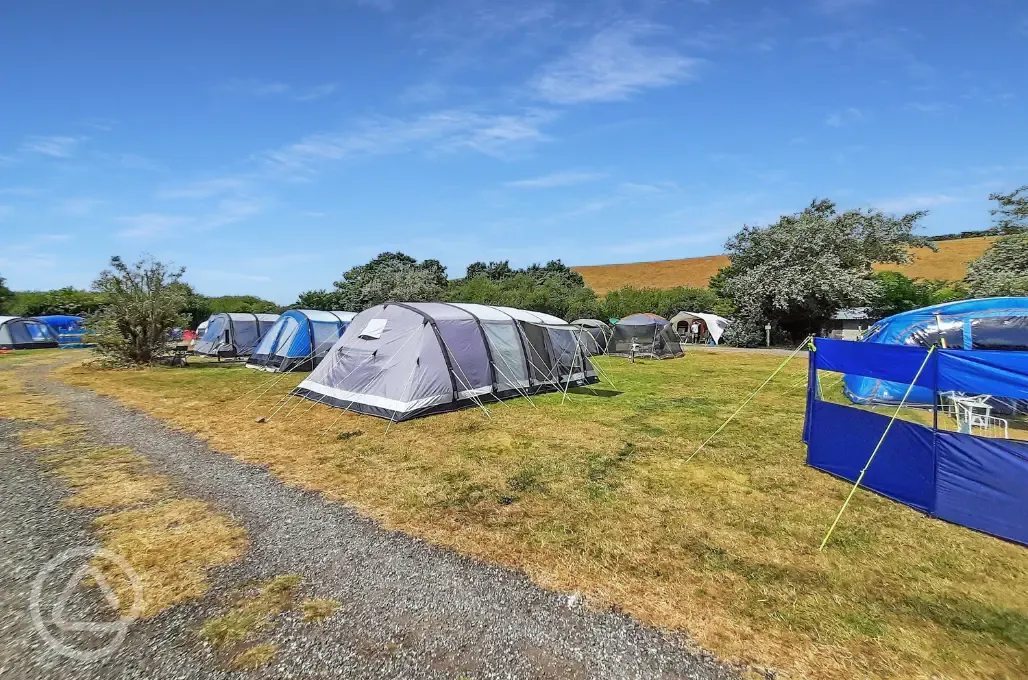 Grass pitches 