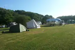Grass pitches