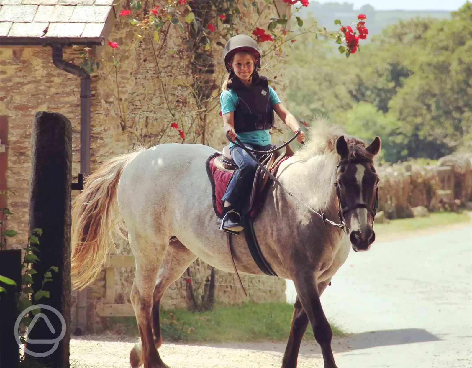 Onsite riding school