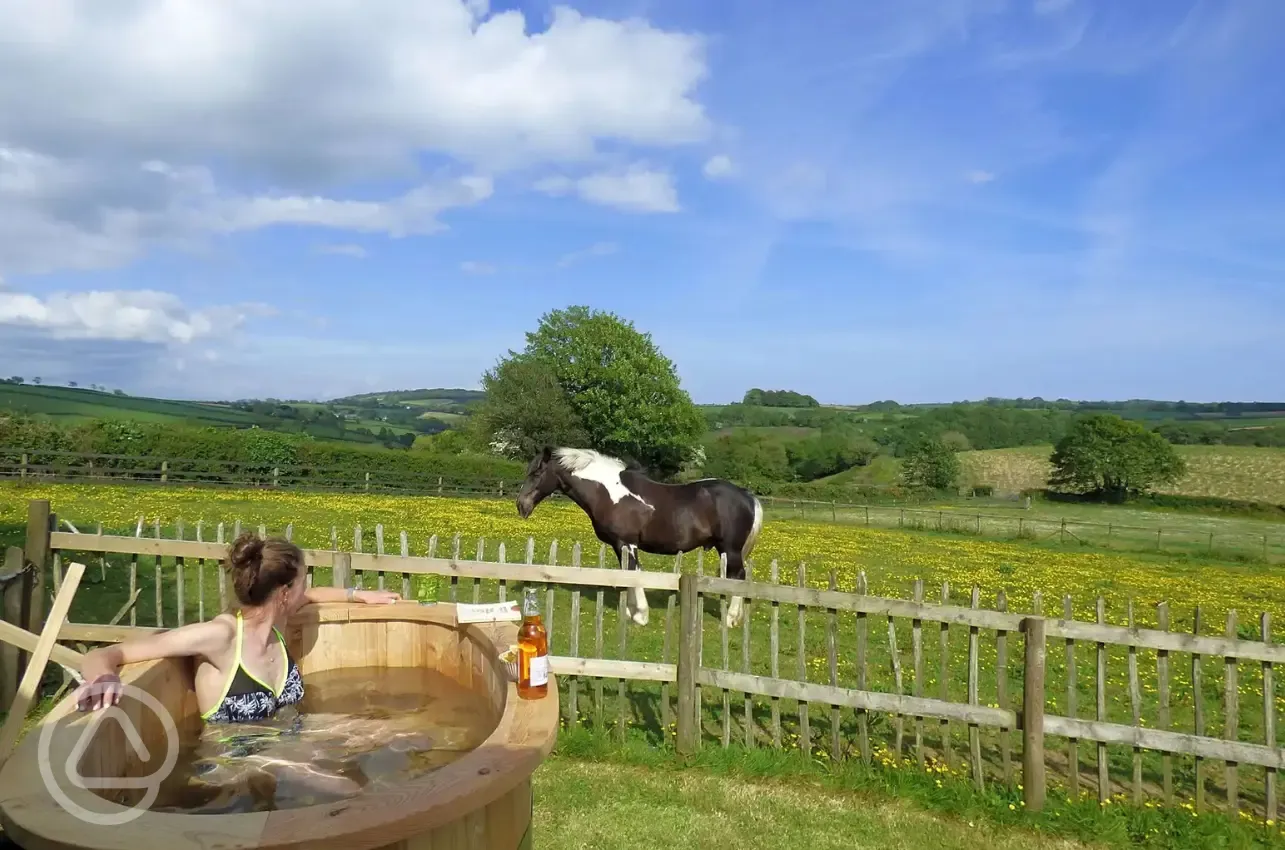 The shepherd's hut hot tub