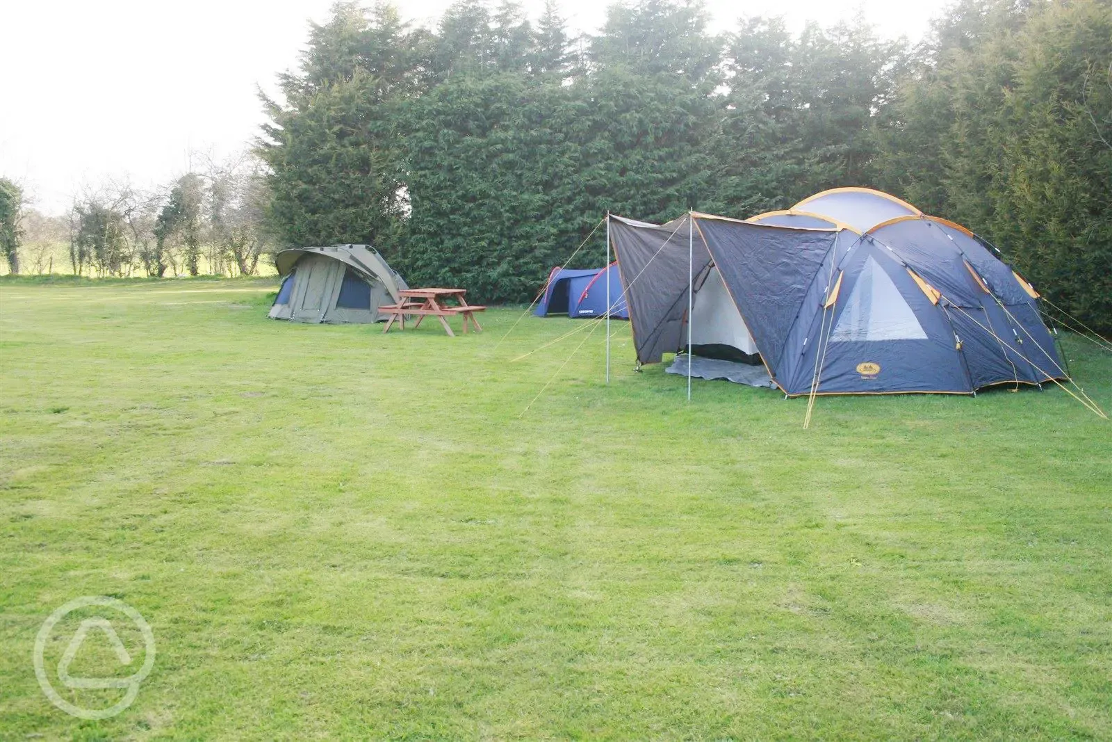 Tents at Gralyn's 