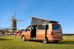 Grass pitches (optional electric)