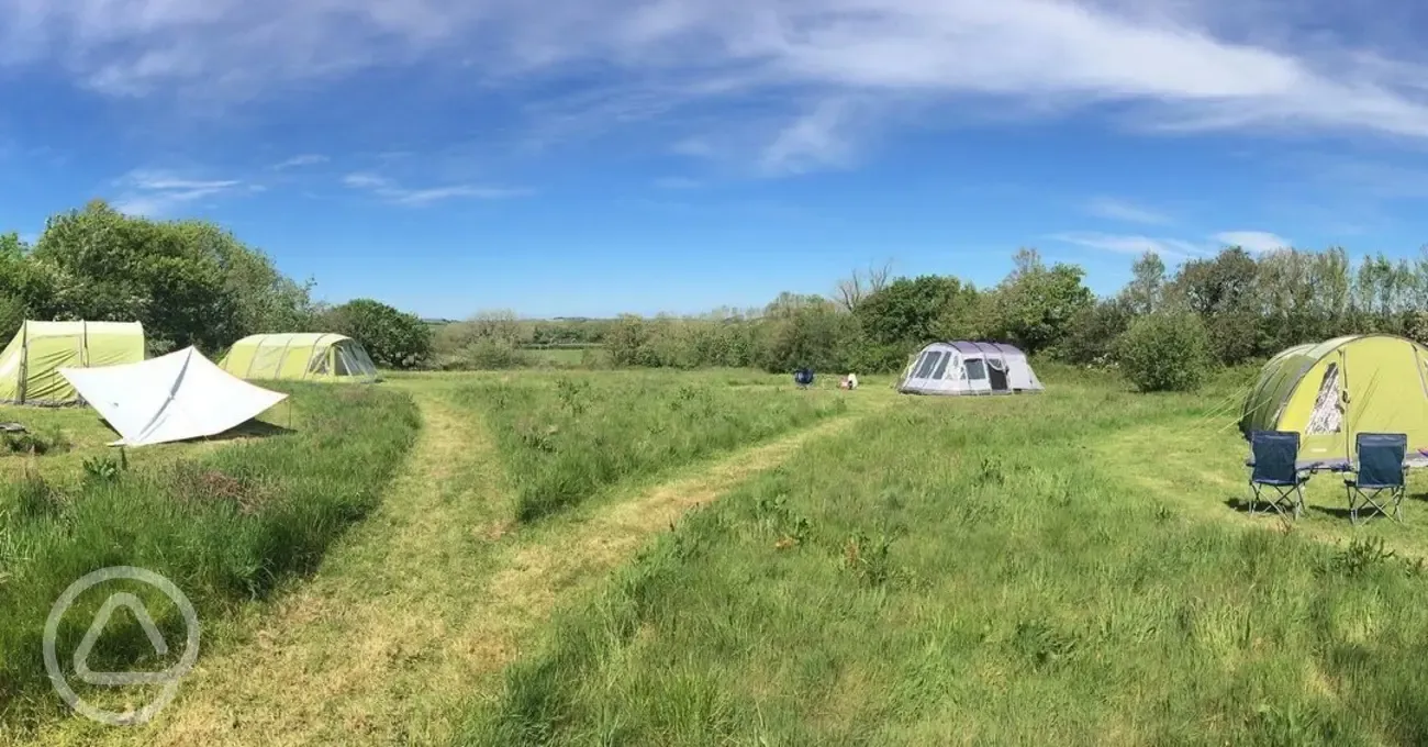 All four pitches full at Simply Camping 