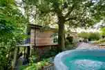 Treehouse