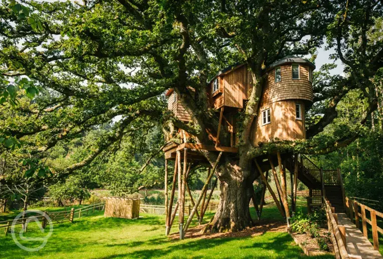 Treehouse luxury exterior