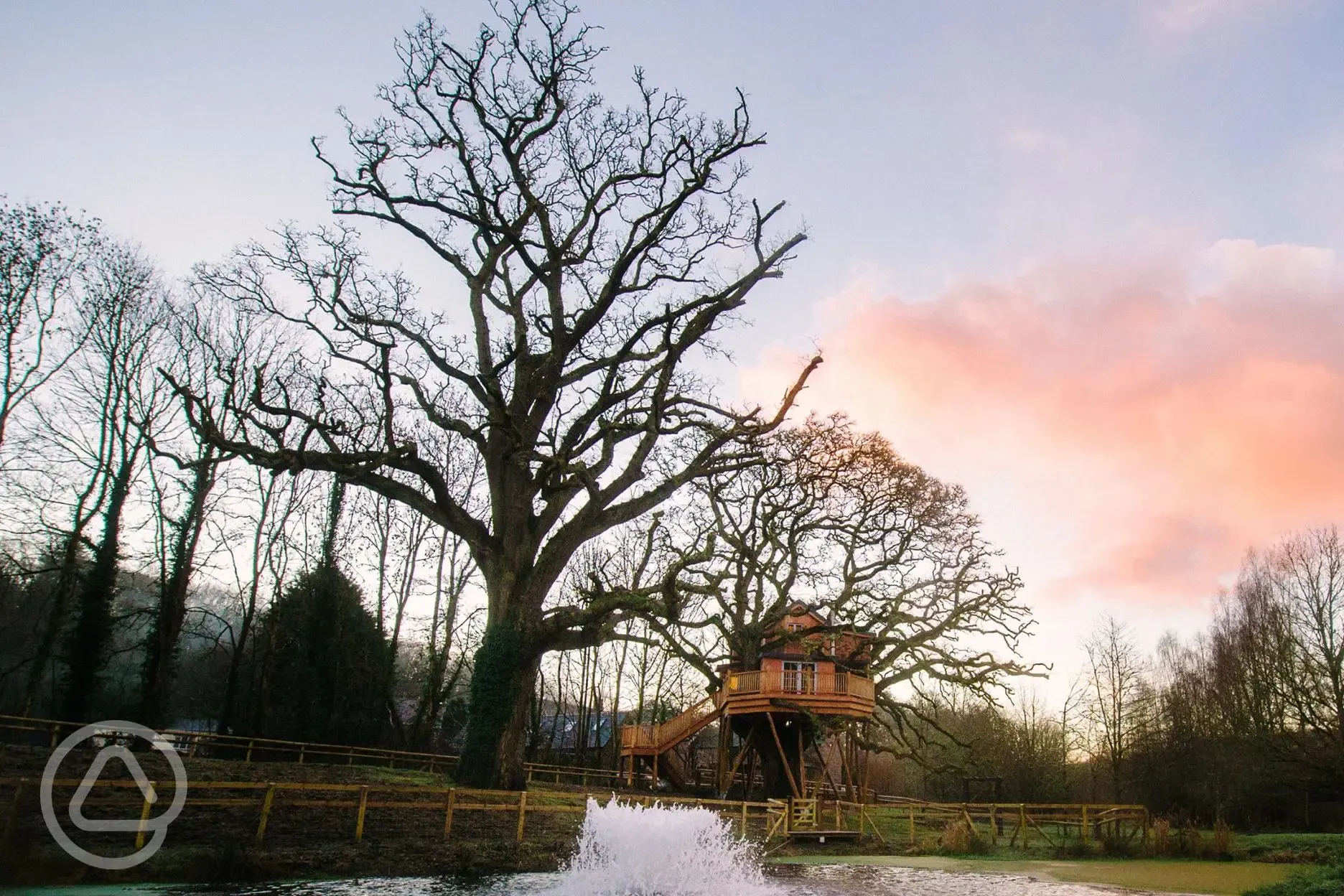 Tree house in its setting