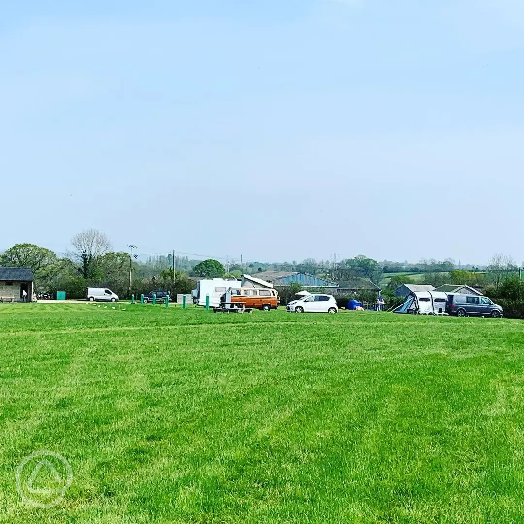 6 Acres of lush green camping