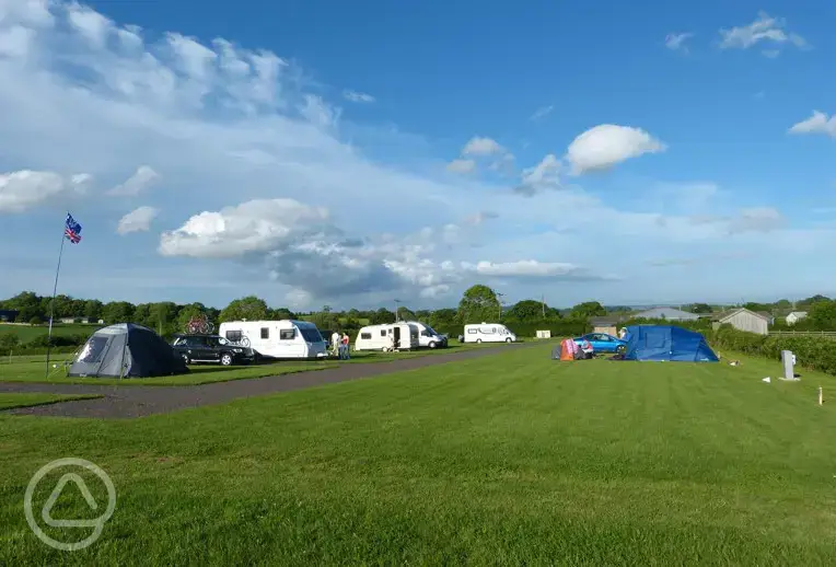 A sunny view showing most pitches. Hardstanding with electric, grass pitch with electric 