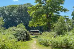 Secluded non electric grass pitch Secluded non electric grass pitch