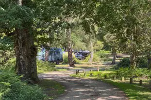 Hollands Wood Campsite, Brockenhurst, Hampshire