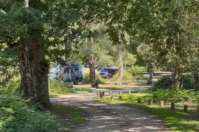 Hollands Wood Campsite