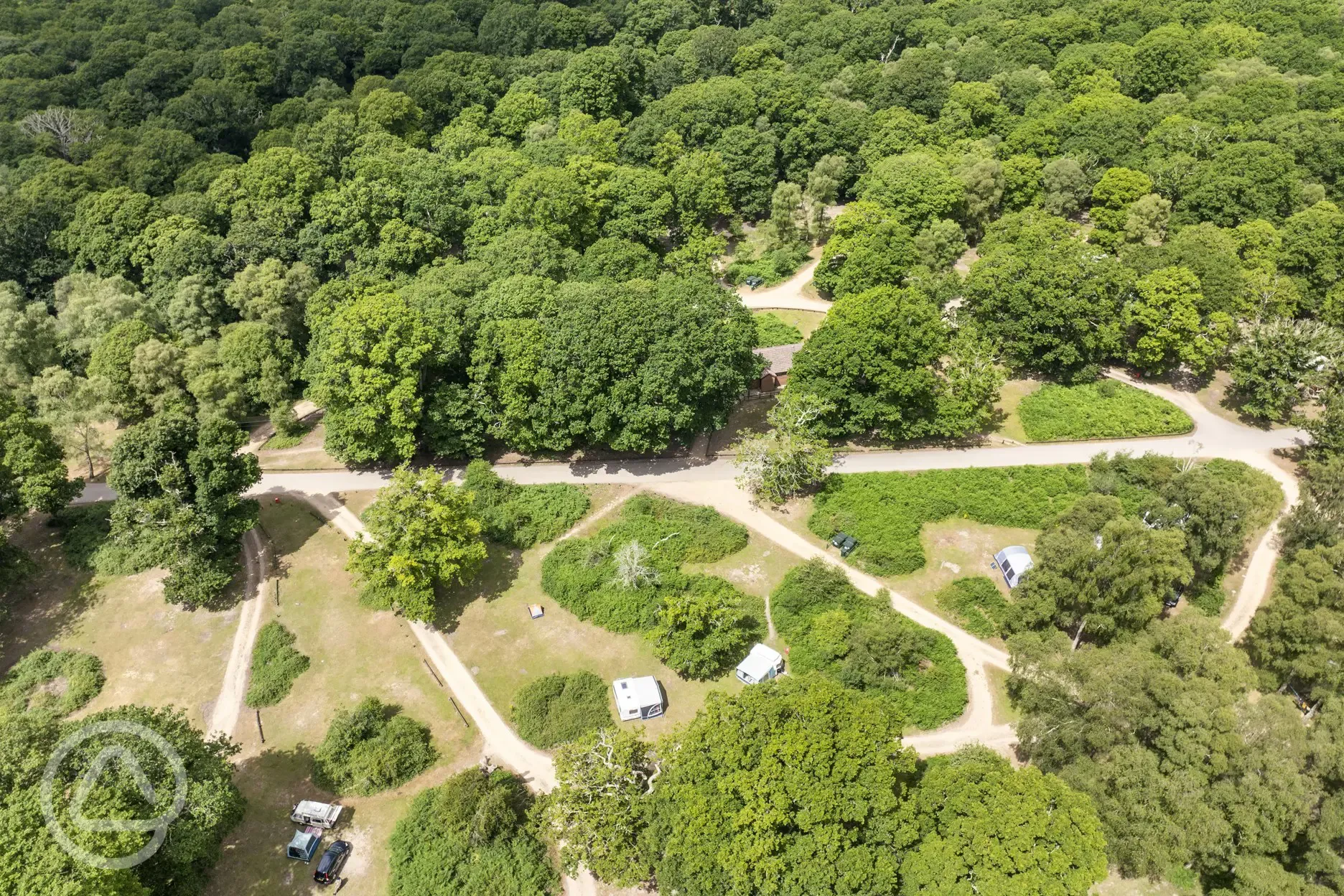 Aerial of Hollands Wood Campsite surrounded by trees in the New Forest