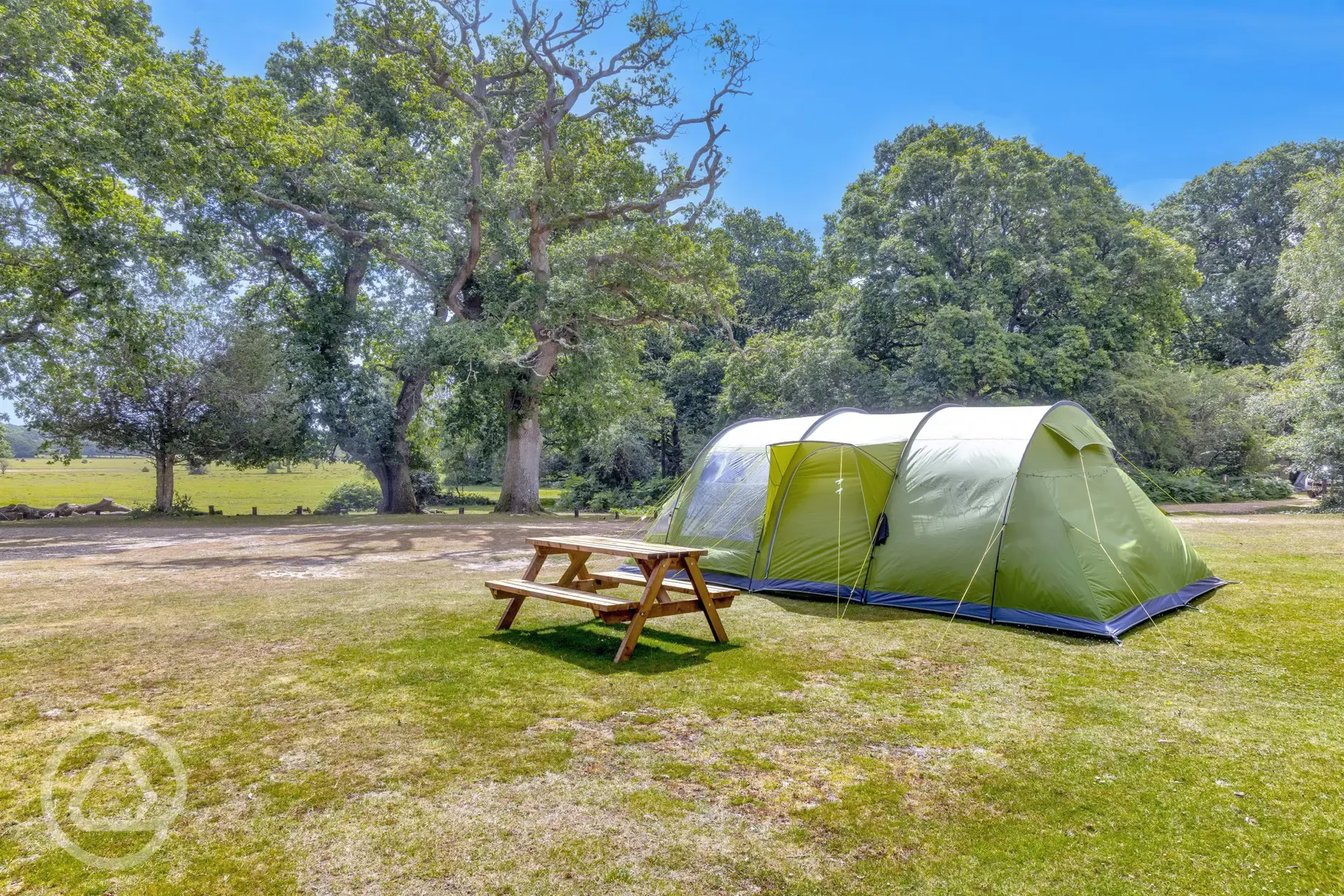 Non electric grass pitch with picnic bench surrounded by trees