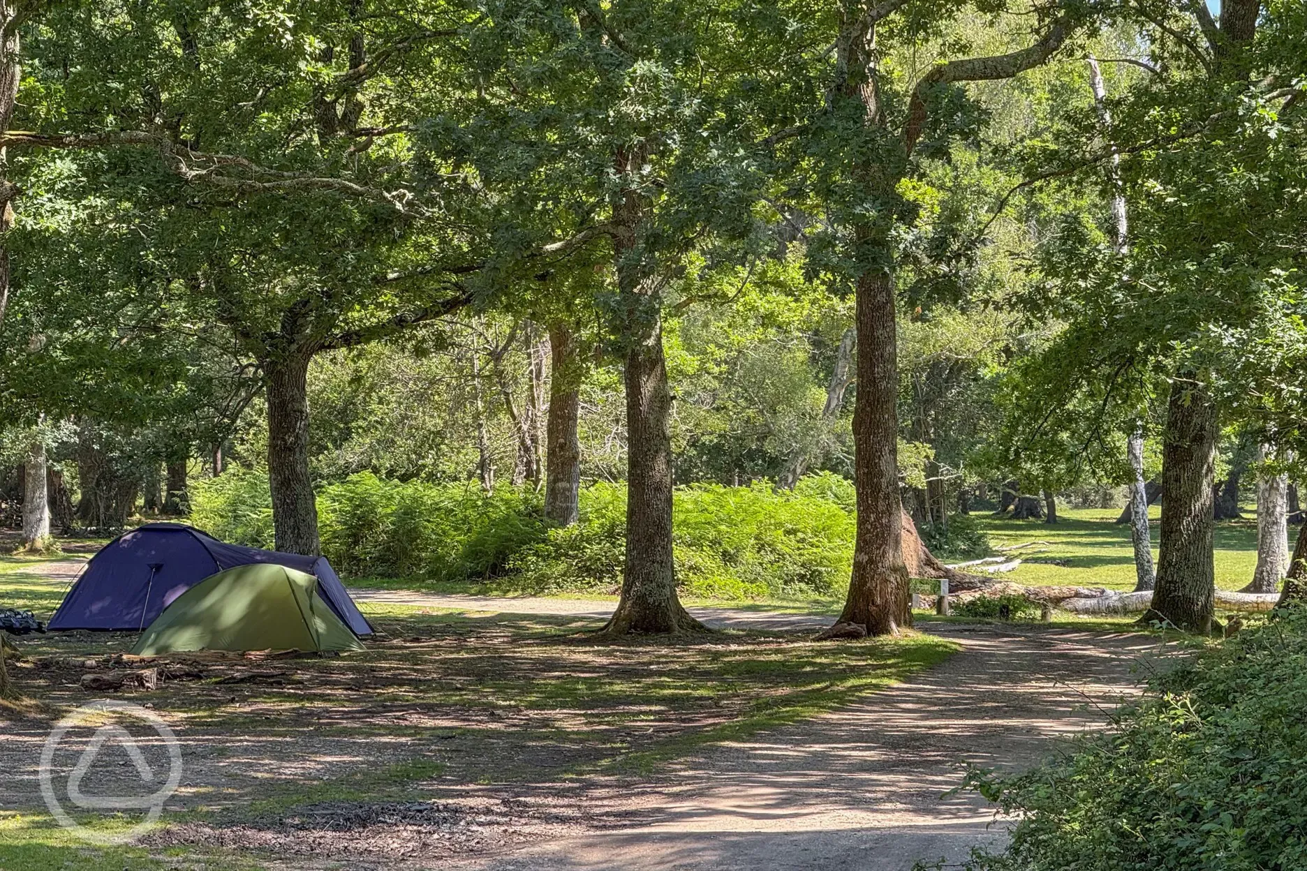 Non electric grass pitches with tents under the trees