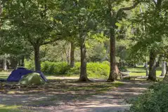 Non electric grass pitches with tents under the trees Non electric grass pitches with tents under the trees